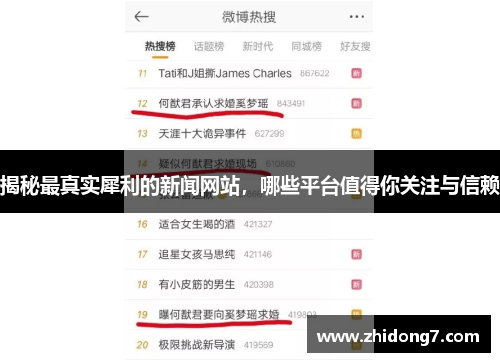 揭秘最真实犀利的新闻网站，哪些平台值得你关注与信赖