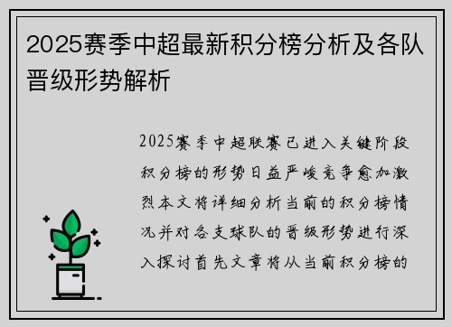 2025赛季中超最新积分榜分析及各队晋级形势解析